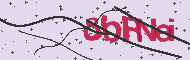 Codice captcha