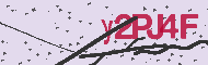 Codice captcha